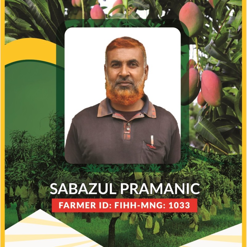 Sabajul