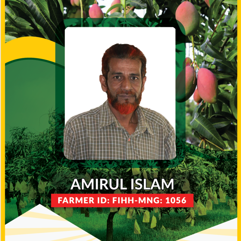 Md. Amirul Islam