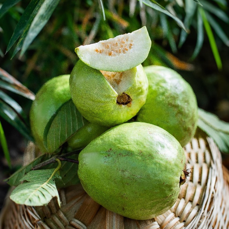 Guava - Thai (1 KG)