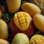 Katimon - (5kg)